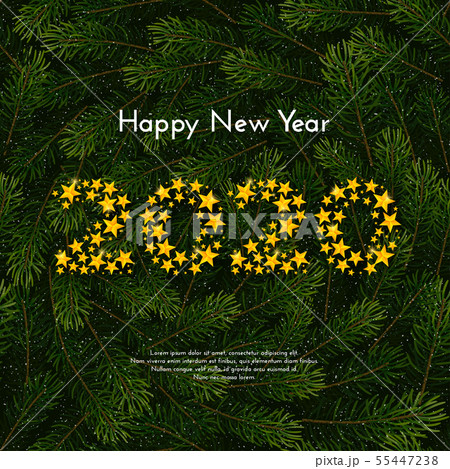 Holiday gift card. Happy New Year 2020. Vector Holiday gift card. Happy New Year 2020. Vector 55447238