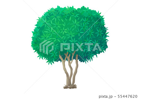 vector hand drawn plant clipart vector hand drawn plant clipart 55447620
