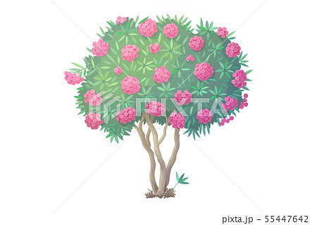 vector hand drawn plant clipart vector hand drawn plant clipart 55447642