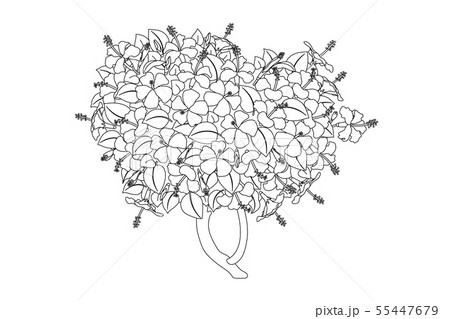 vector hand drawn plant clipart 55447679