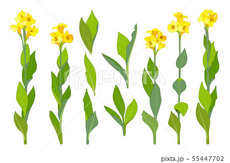 Vector Hand Drawn Plant Clipartのイラスト素材