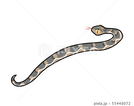 vector scandi cartoon animal clip art 55448072