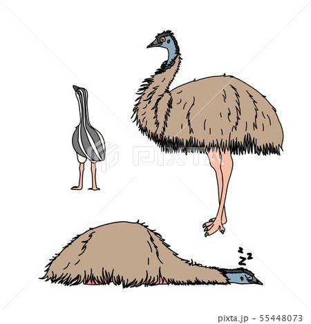 vector scandi cartoon animal clip art 55448073