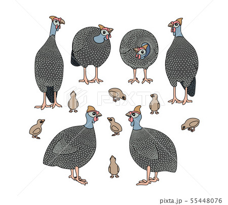 vector scandi cartoon animal clip art 55448076
