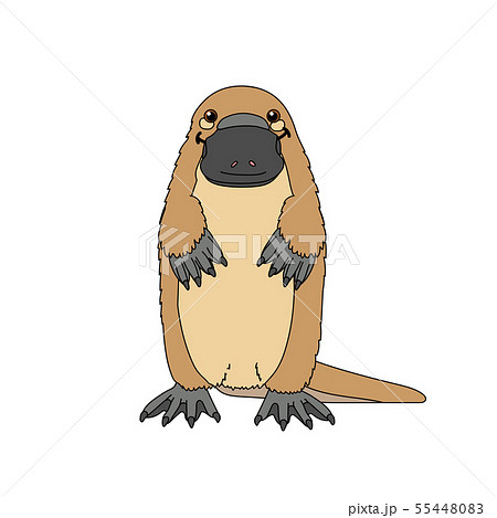 vector scandi cartoon animal clip art 55448083
