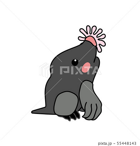 Vector Scandi Cartoon Animal Clip Artのイラスト素材