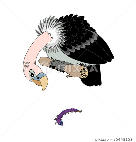vector scandi cartoon animal clip art vector scandi cartoon animal clip art 55448153