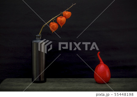 Still life with a branch of Physalis Still life with a branch of Physalis 55448198