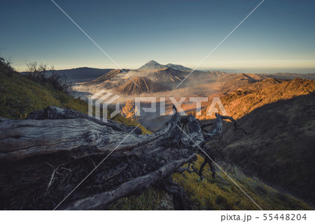 Aerial view of Mount Bromo at sunrise. An active 55448204