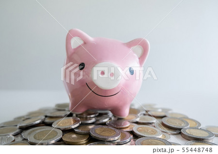pink piggy bank with coins pile pink piggy bank with coins pile 55448748