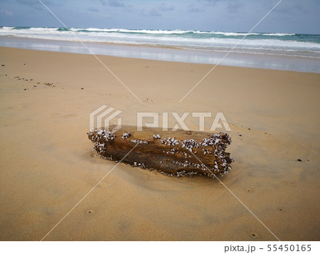 On​the​beach  55450165