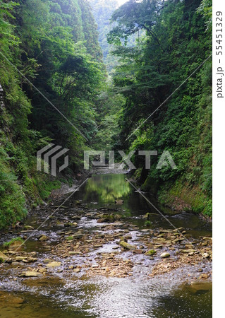 8月 大多喜町20隧道・弘文洞跡・養老渓谷 8月 大多喜町20隧道・弘文洞跡・養老渓谷 55451329