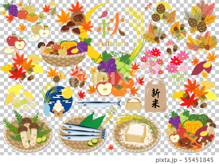 Fall illustration 55451845