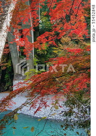 軍畑・御岳散策　紅葉　もみじ 55452848