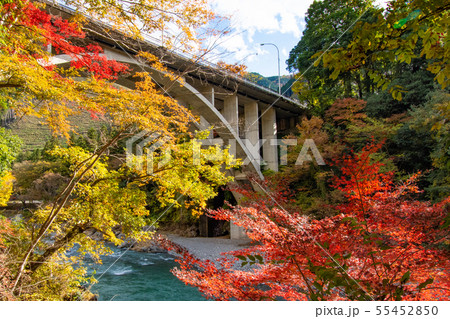 軍畑・御岳散策 紅葉 もみじ 軍畑・御岳散策 紅葉 もみじ 55452850