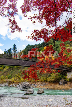 軍畑・御岳散策　紅葉　もみじ 55452855