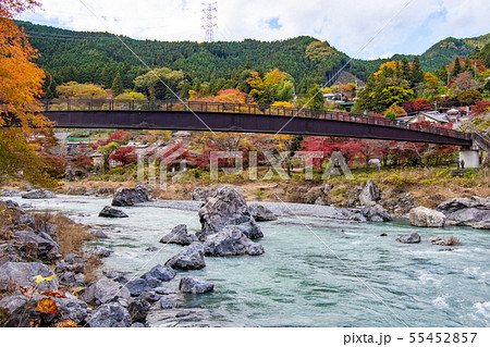軍畑・御岳散策　紅葉　もみじ 55452857