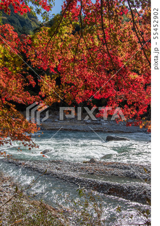 軍畑御岳散策 55452902