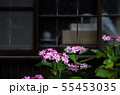 紫陽花 55453035