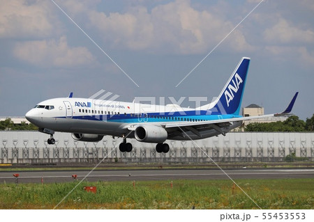 ANA　B737-800　伊丹空港 55453553