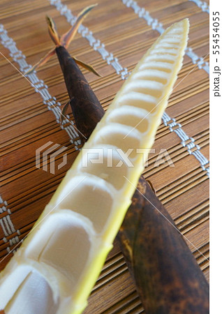 淡竹 淡竹 55454055