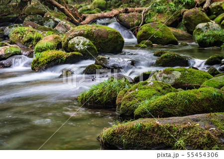 風景 風景 55454306