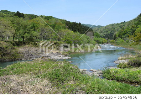 早春の渓流 55454956