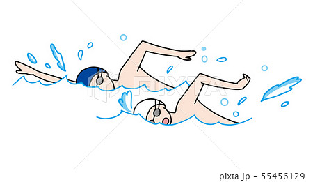 水泳 55456129