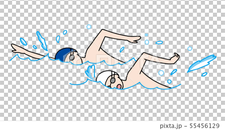 水泳 55456129