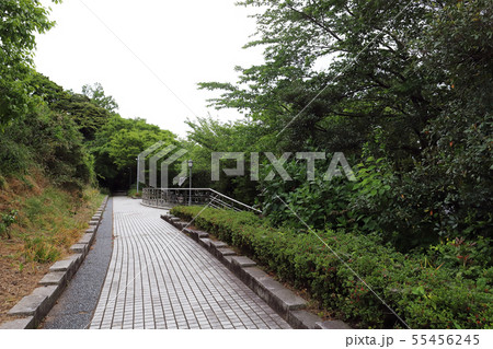 三国エッセル坂（福井県 坂井市 三国） 55456245