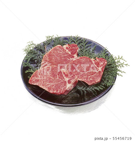 ヒレ肉-ブロック-スケッチ 55456719