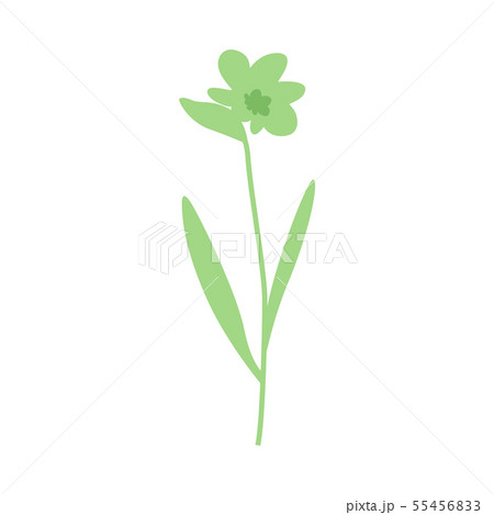 Prehistoric or fantasy green vector flower. Prehistoric or fantasy green vector flower. 55456833