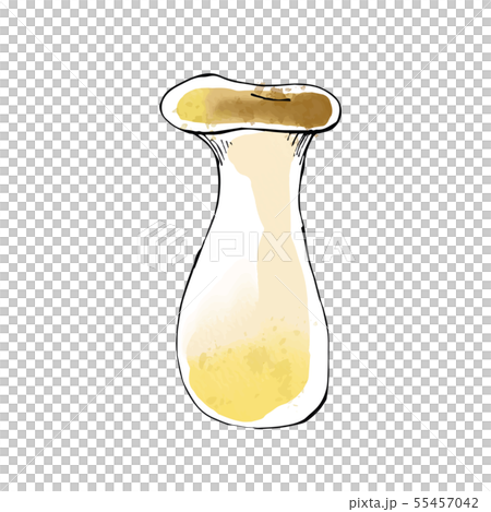 Watercolor style illustration of mushrooms and eryngii B type 55457042
