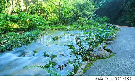 秋芳洞2 秋芳洞2 55457134