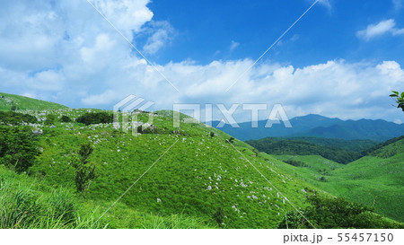 秋吉台6 秋吉台6 55457150