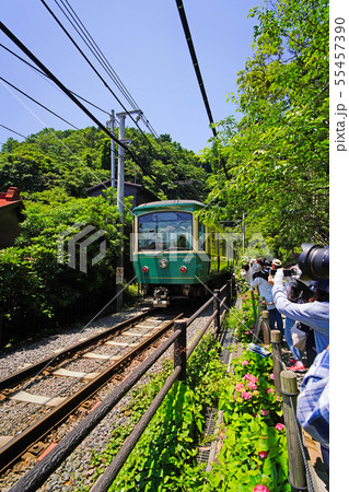 鎌倉 御霊神社横を通過する江ノ電20型車両 鎌倉 御霊神社横を通過する江ノ電20型車両 55457390