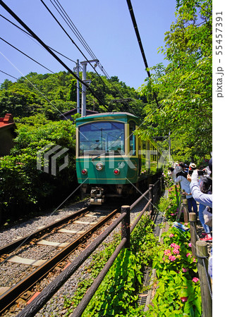 鎌倉 御霊神社横を通過する江ノ電20型車両 鎌倉 御霊神社横を通過する江ノ電20型車両 55457391