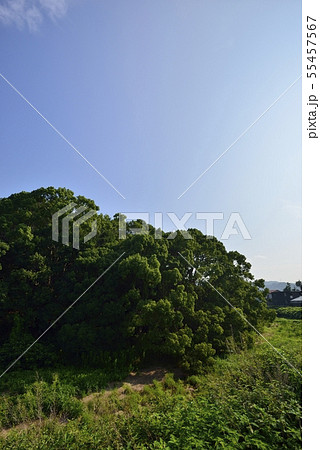 【大阪府 藤井寺市】世界遺産・古市古墳群(允恭天皇陵古墳) 【大阪府 藤井寺市】世界遺産・古市古墳群(允恭天皇陵古墳) 55457567