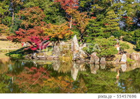 鶴鳴渚のリフレクション 楽々玄宮園 鶴鳴渚のリフレクション 楽々玄宮園 55457696
