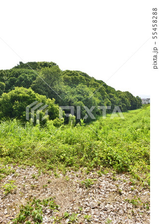 【大阪府 藤井寺市】世界遺産・古市古墳群(仲姫命陵古墳) 【大阪府 藤井寺市】世界遺産・古市古墳群(仲姫命陵古墳) 55458288