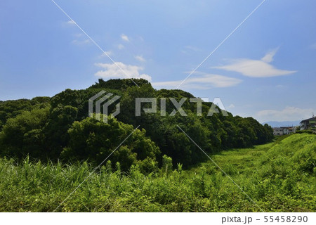 【大阪府 藤井寺市】世界遺産・古市古墳群(仲姫命陵古墳) 【大阪府 藤井寺市】世界遺産・古市古墳群(仲姫命陵古墳) 55458290