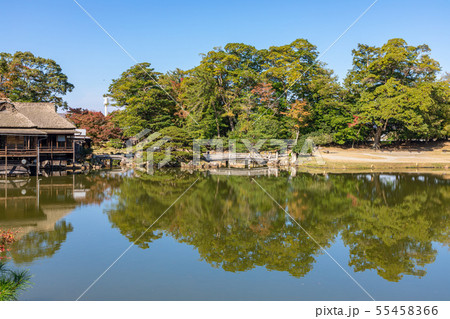 魚躍沼のリフレクション 玄宮園 魚躍沼のリフレクション 玄宮園 55458366