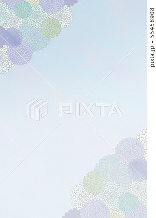 菊　喪中はがき 55458908