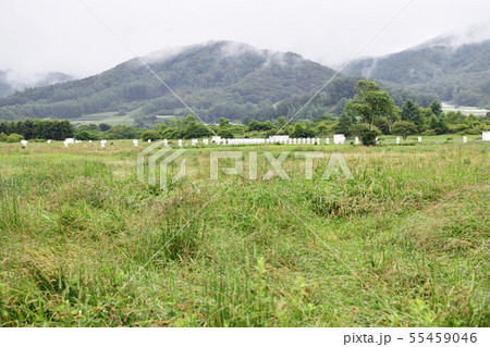 野辺山高原 野辺山地区 野辺山高原 野辺山地区 55459046