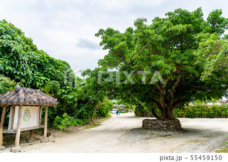 沖縄　竹富島　集落の入り口　スンマシャー　説明板付 55459150