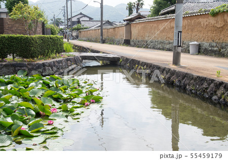 萩市内を流れる藍場川と土塀の景色 萩市内を流れる藍場川と土塀の景色 55459179