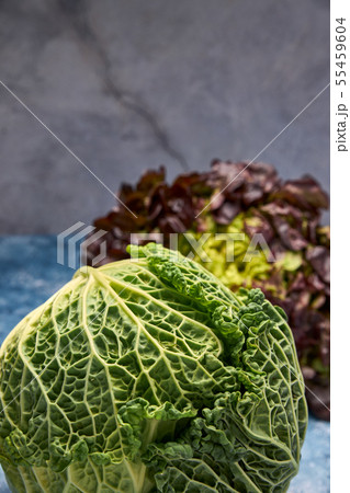 view of fresh green vegetables 55459604