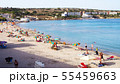 ビーチリゾート 55459663