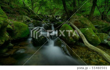 阿寺渓谷 55460501