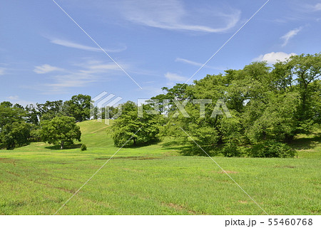 【大阪府　藤井寺市】世界遺産・古市古墳群（古室山古墳） 55460768